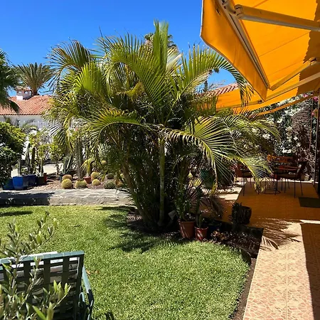 Sunclub 255 Appartement *